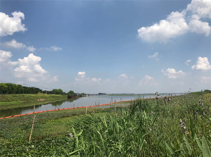江蘇省淮安市白馬湖沿湖及入湖河道生態修復